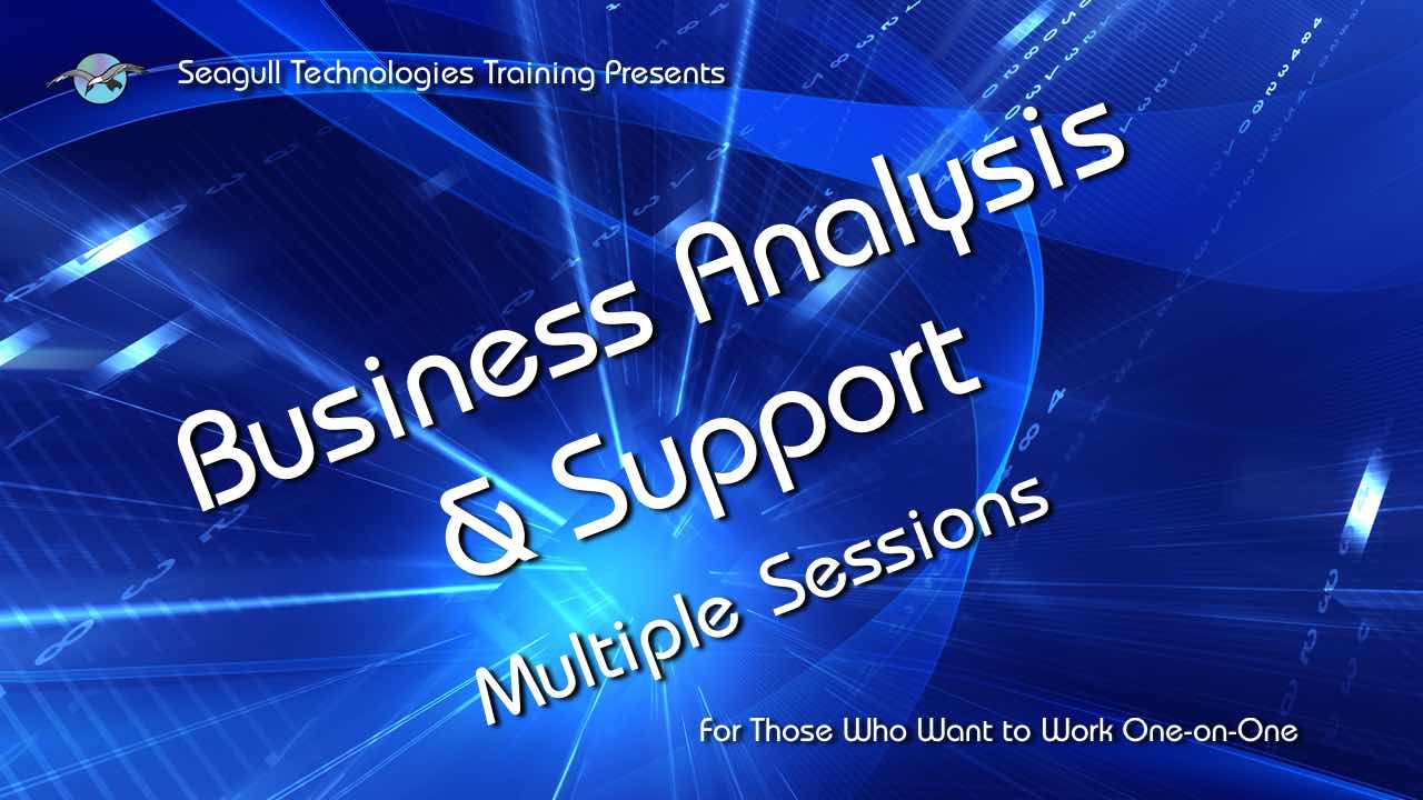 Business Analysis & Support